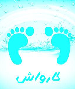 زیرپایی کارواش